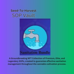 NFT Sanitation Collection Bundle