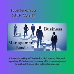 NFT Business Management Bundle