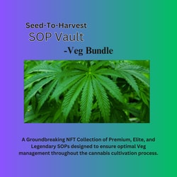 NFT Veg Collection Bundle