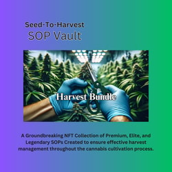 NFT Harvest Collection Bundle