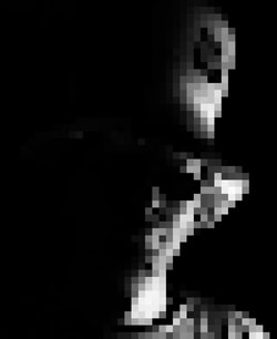 Header Avatar