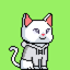 NFT Catiz3nsDAO